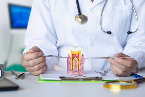 Best Pediatric Emergency Dentist in Plainview, NE